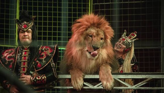 Цирк-шапито «Счастья»