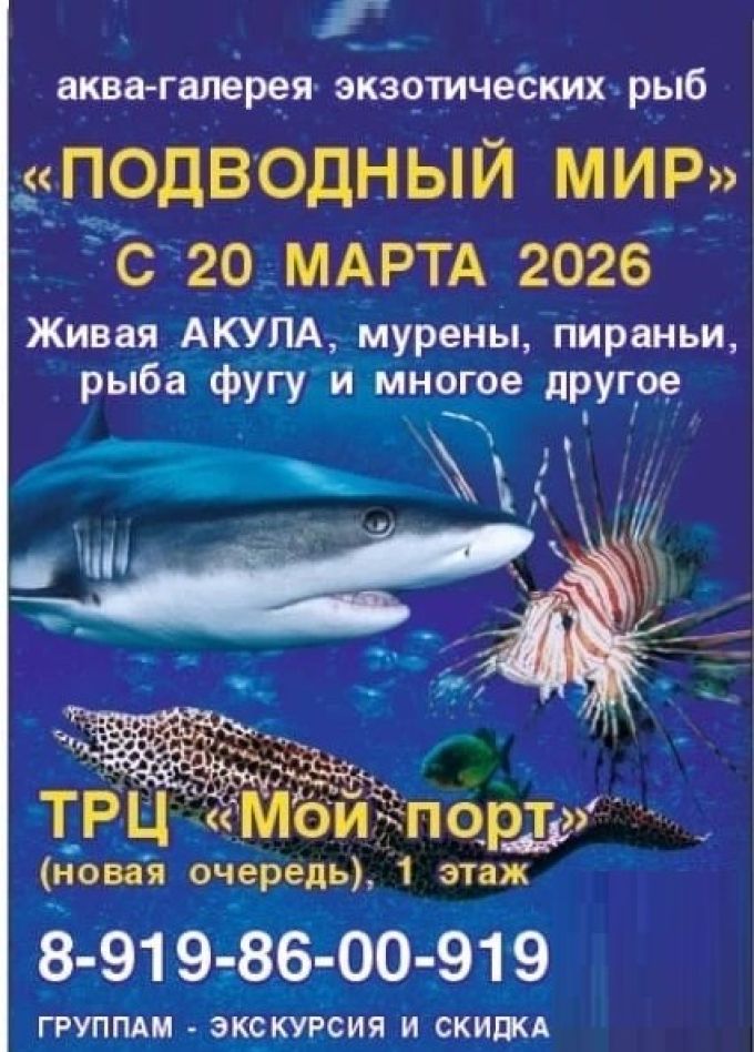Аква-галерея экзотических рыб «Подводный мир»